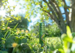 Voici les astuces pour éloigner les serpents de votre terrain cet été