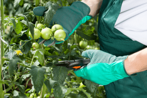 La méthode professionnelle de revitalisation automnale