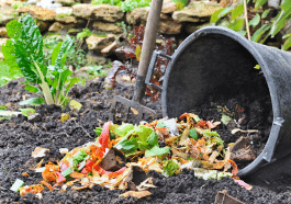 Compost d’automne : les ingrédients parfaits pour booster votre sol avant l’hiver
