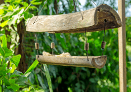 J’ai testé une mangeoire en bambou : mon jardin s’est transformé en cinéma d’oiseaux