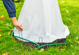 Ce voile d’hivernage naturel protège les plantes fragiles sans plastique