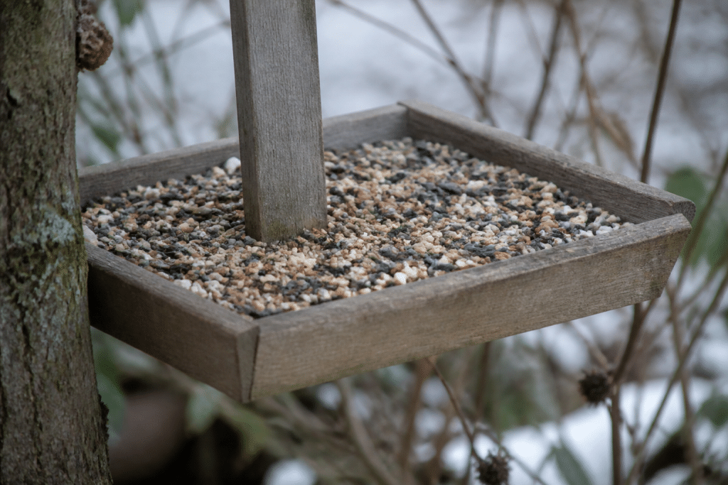 Graines tournesol millet cacahuetes dans mangeoire oiseaux jardin