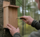 Mains construisant boite bois suspendue verticalement arbre